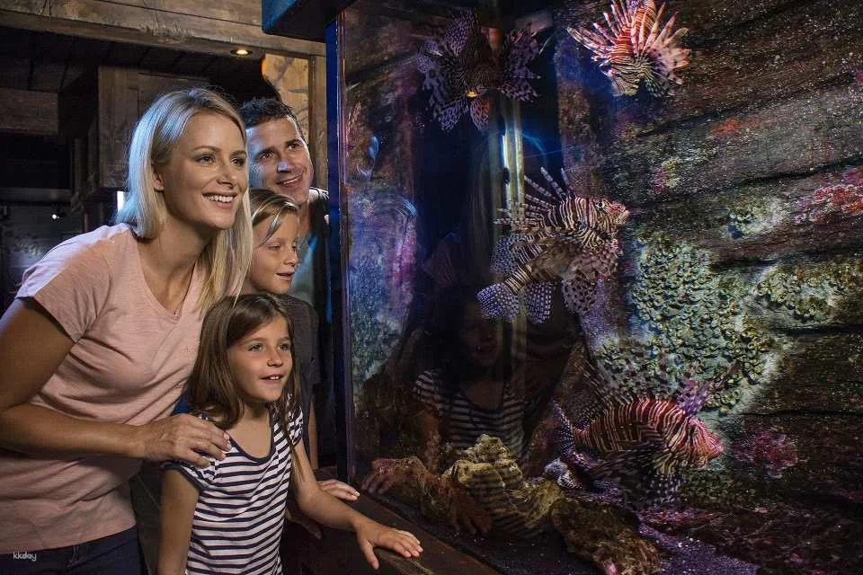 SEA LIFE Sunshine Coast Aquarium Ticket | Queensland