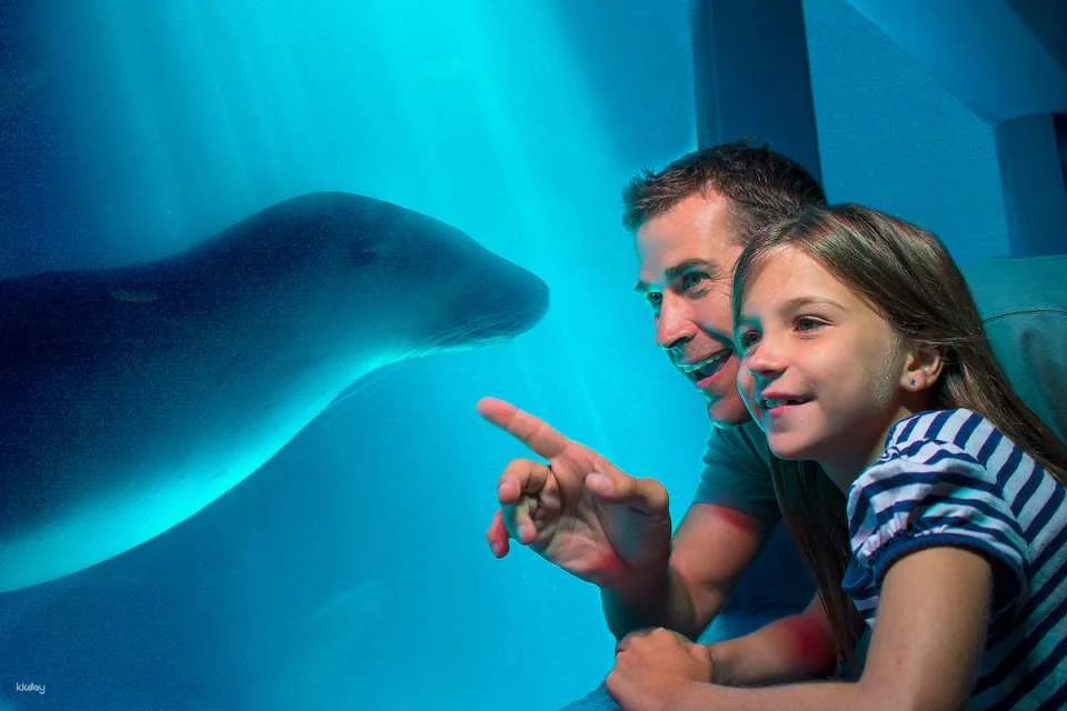 SEA LIFE Sunshine Coast Aquarium Ticket | Queensland