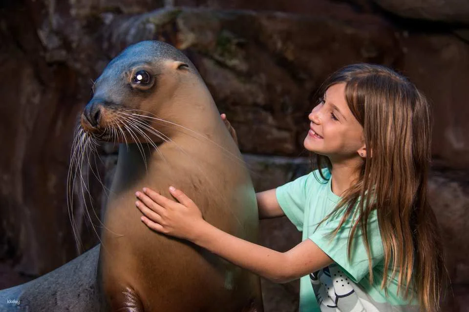 SEA LIFE Sunshine Coast Aquarium Ticket | Queensland