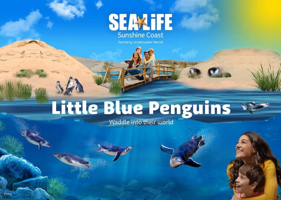 SEA LIFE Sunshine Coast Aquarium Ticket | Queensland