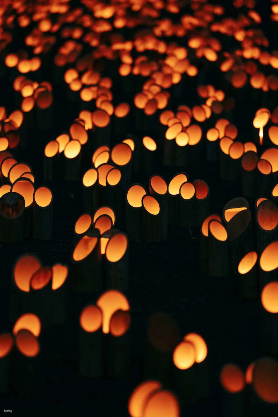 Kokura Castle Bamboo Lantern Festival Ticket Reservations (Kitakyushu City, Fukuoka Prefecture, Event)