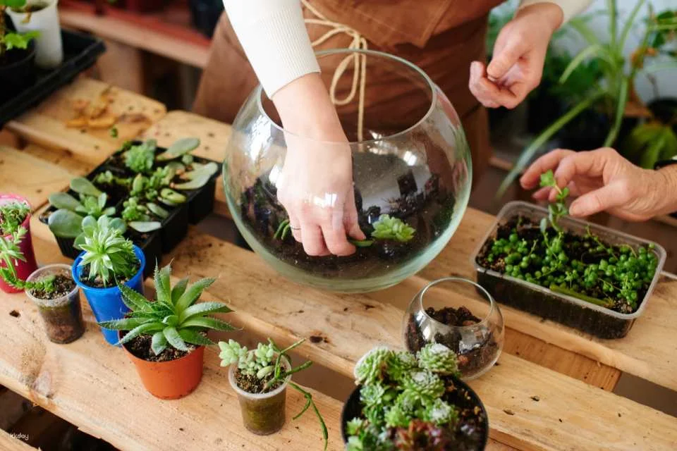 Giant Globe Terrarium DIY Workshop Experience | Singapore