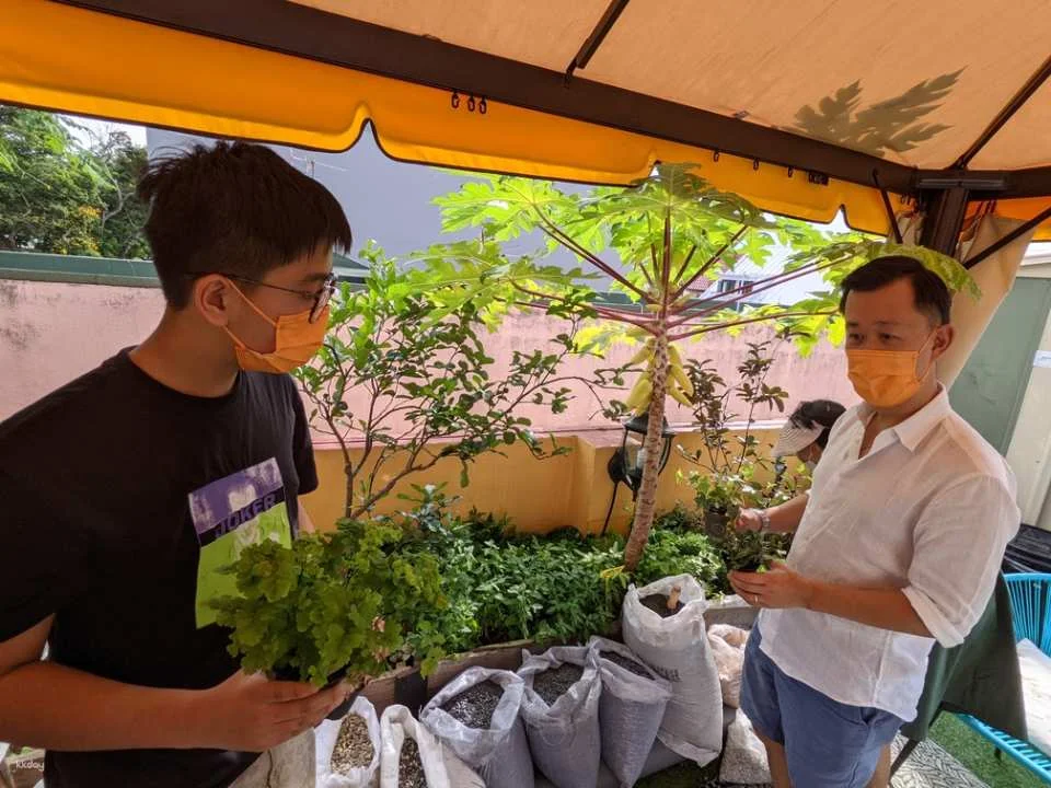 Giant Globe Terrarium DIY Workshop Experience | Singapore