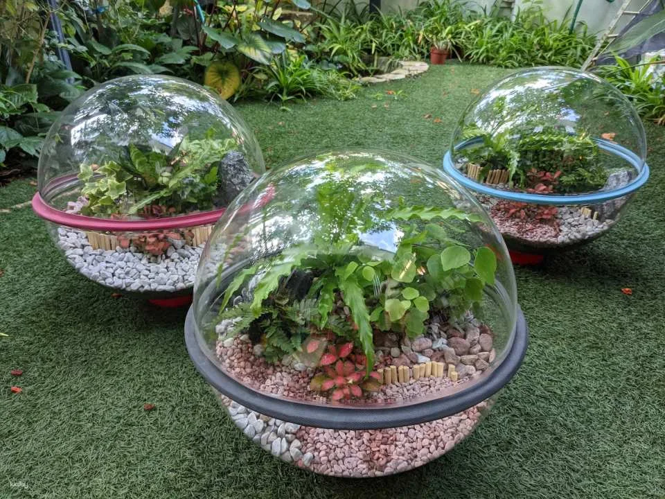 Giant Globe Terrarium DIY Workshop Experience | Singapore