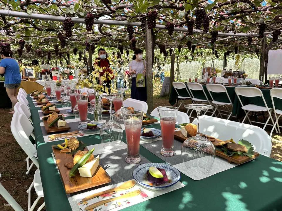 Seasonal Limited | Taichung Shin Fong Farm Fruit Picking Experience & Grapevine Afternoon Tea Time | Grape to Wine DIY Experience