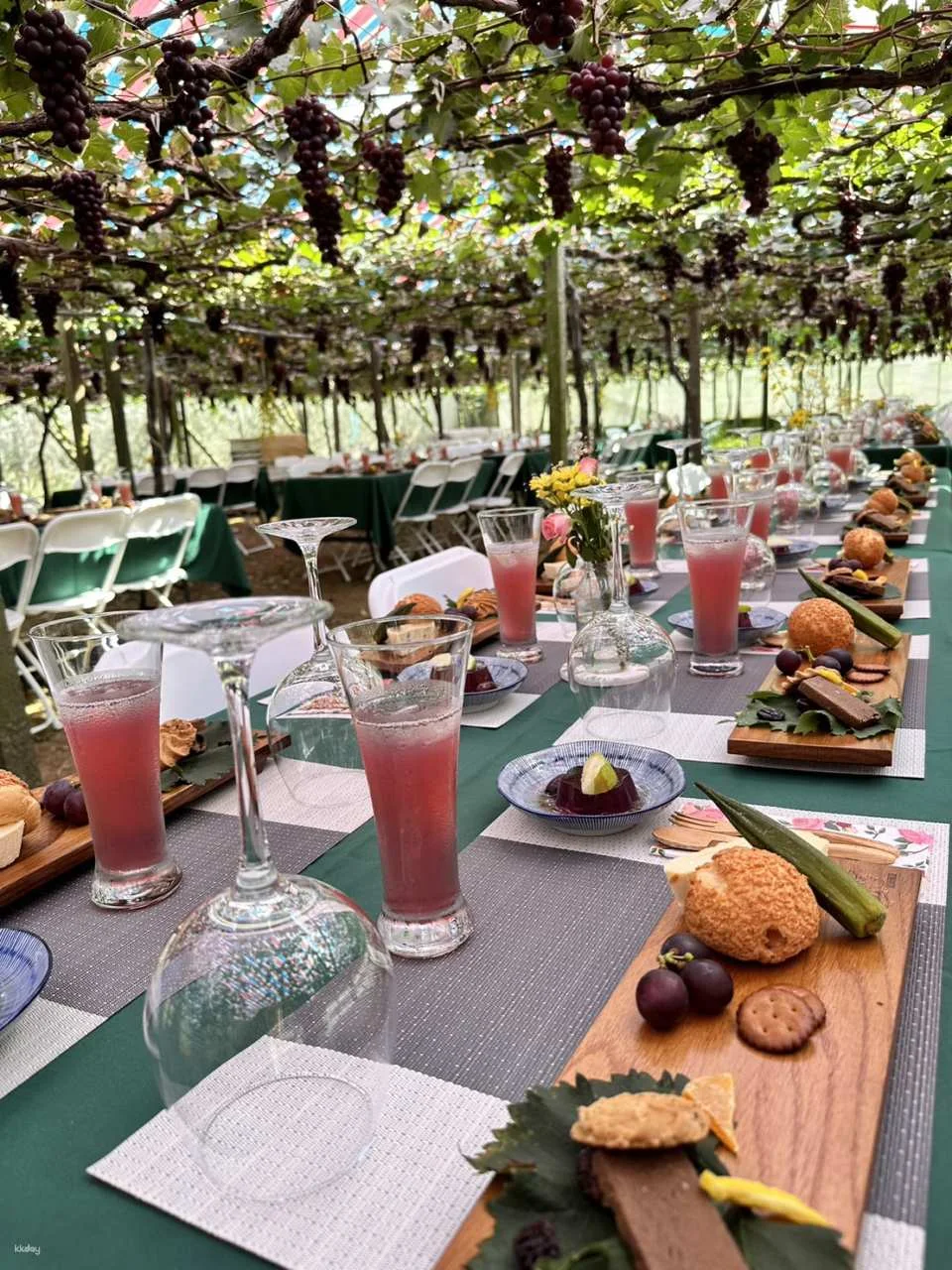 Seasonal Limited | Taichung Shin Fong Farm Fruit Picking Experience & Grapevine Afternoon Tea Time | Grape to Wine DIY Experience