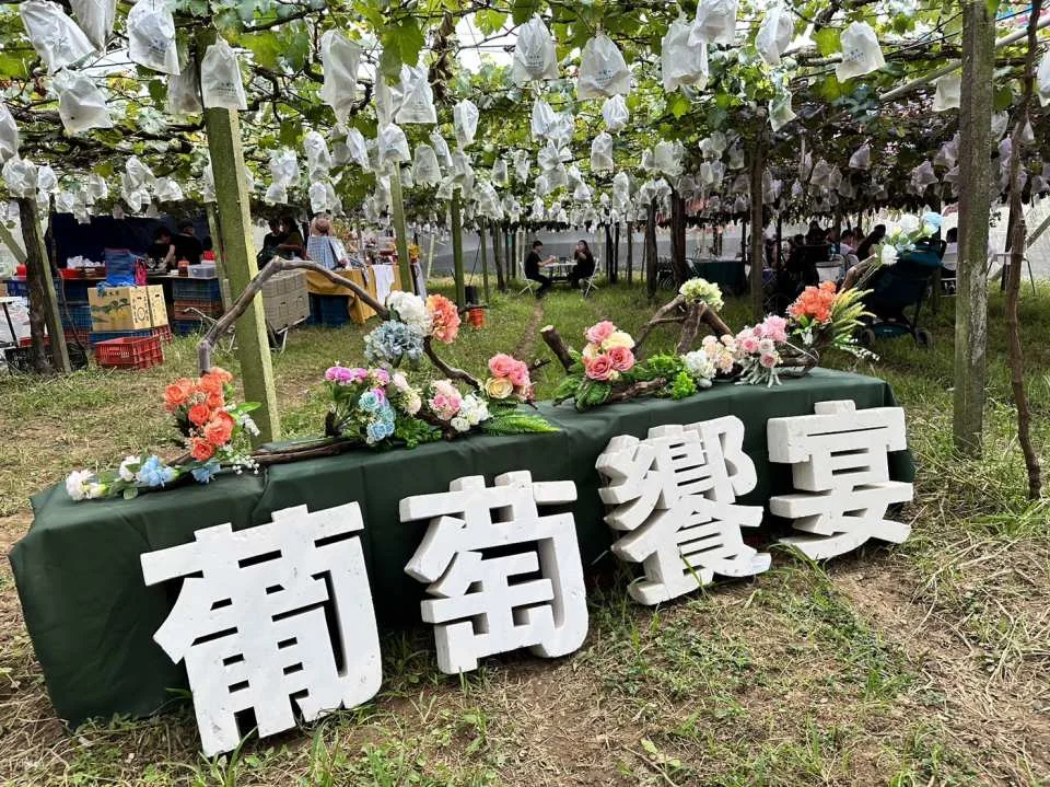 Seasonal Limited | Taichung Shin Fong Farm Fruit Picking Experience & Grapevine Afternoon Tea Time | Grape to Wine DIY Experience