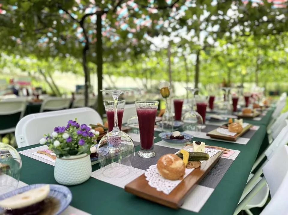 Seasonal Limited | Taichung Shin Fong Farm Fruit Picking Experience & Grapevine Afternoon Tea Time | Grape to Wine DIY Experience