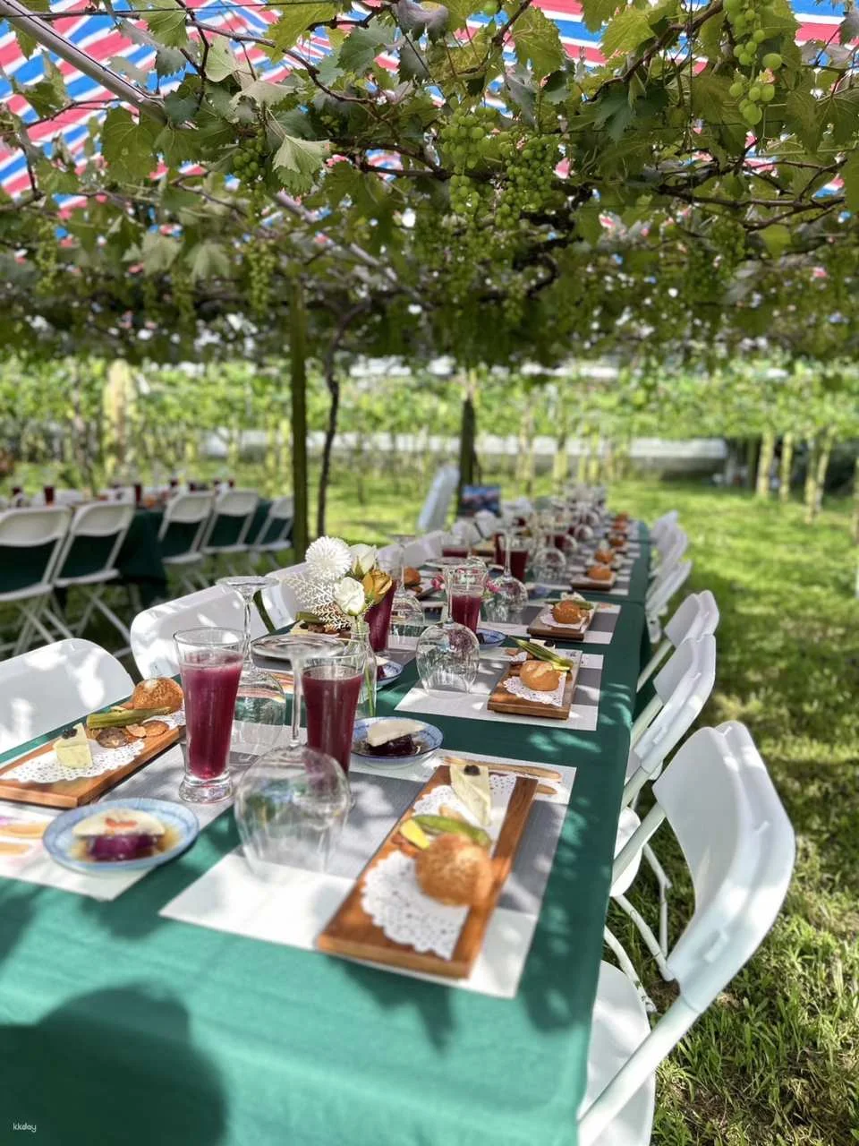 Seasonal Limited | Taichung Shin Fong Farm Fruit Picking Experience & Grapevine Afternoon Tea Time | Grape to Wine DIY Experience