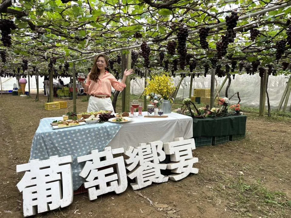 Seasonal Limited | Taichung Shin Fong Farm Fruit Picking Experience & Grapevine Afternoon Tea Time | Grape to Wine DIY Experience