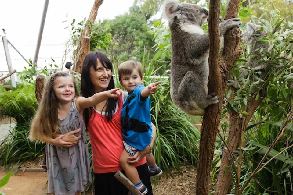 [10+ Group Only] [QR Direct Entry] WILD LIFE Sydney Zoo Ticket | Australia
