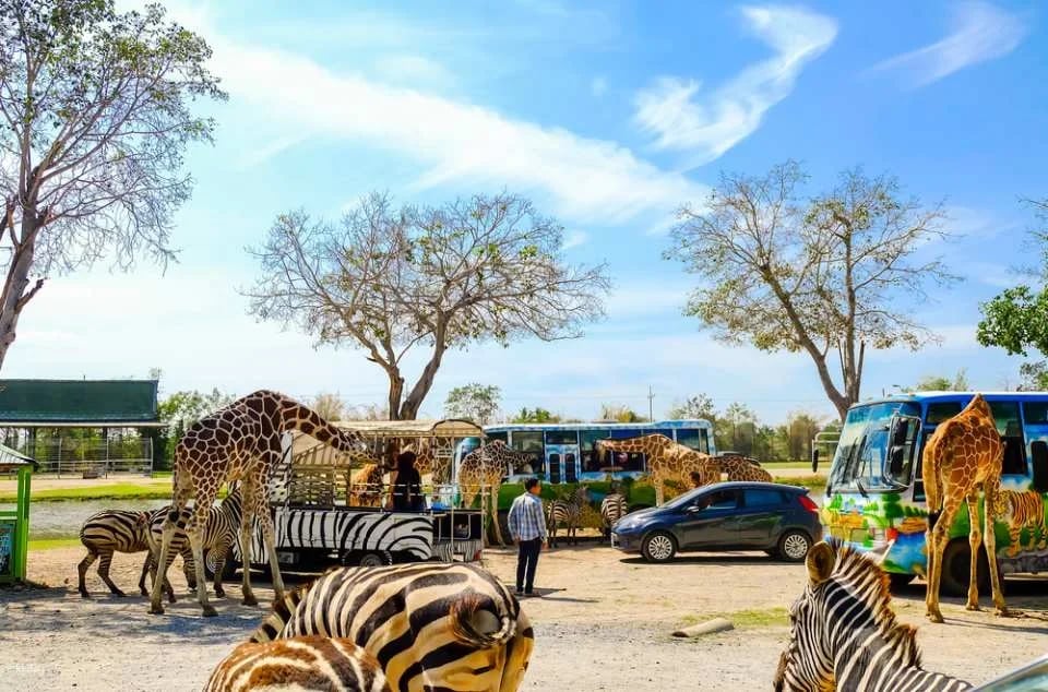 Mallika Thai Culture Experience with Safari Park Open Zoo | Kanchanaburi
