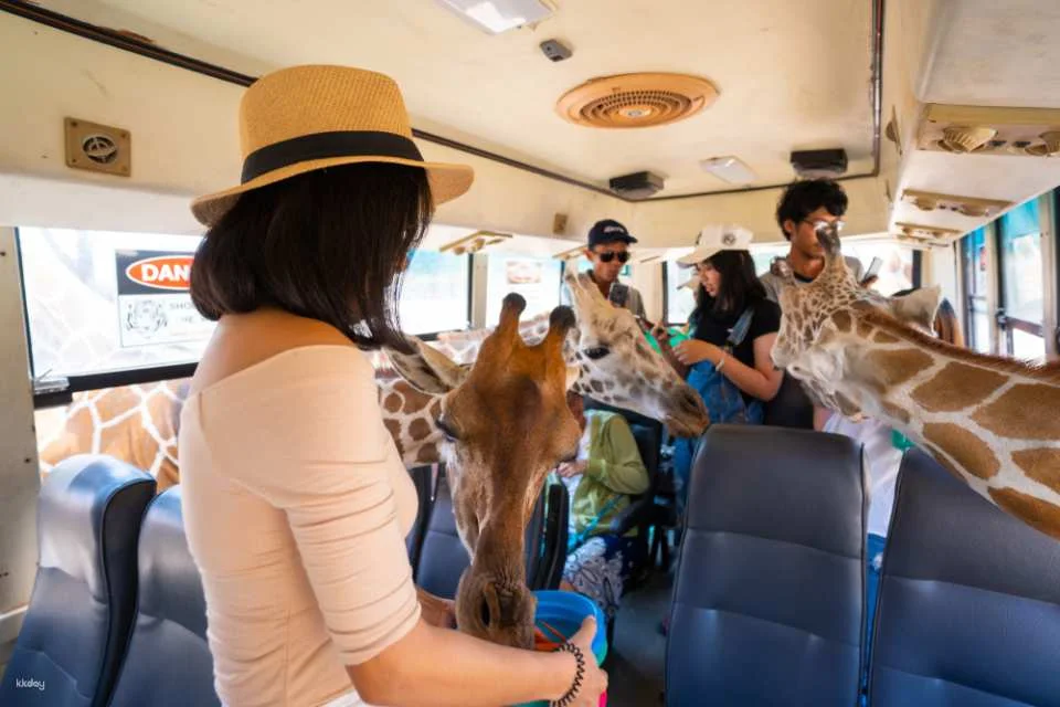 Mallika Thai Culture Experience with Safari Park Open Zoo | Kanchanaburi