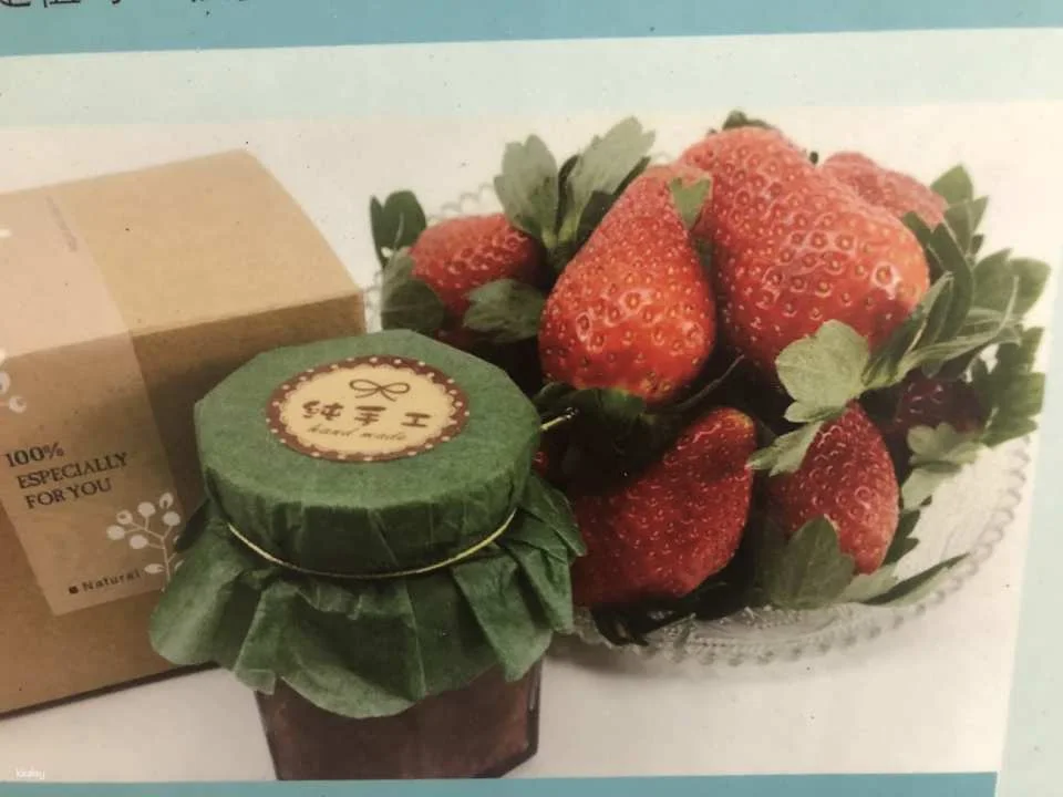 Nantou|Yongchun Farm x Strawberry Tour|Nongyou Supermarket