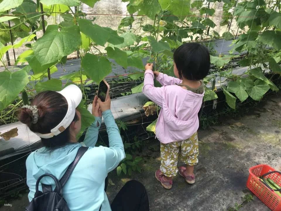 Nantou｜Yongchun Farm x Strawberry Tour｜Nongyou Supermarket