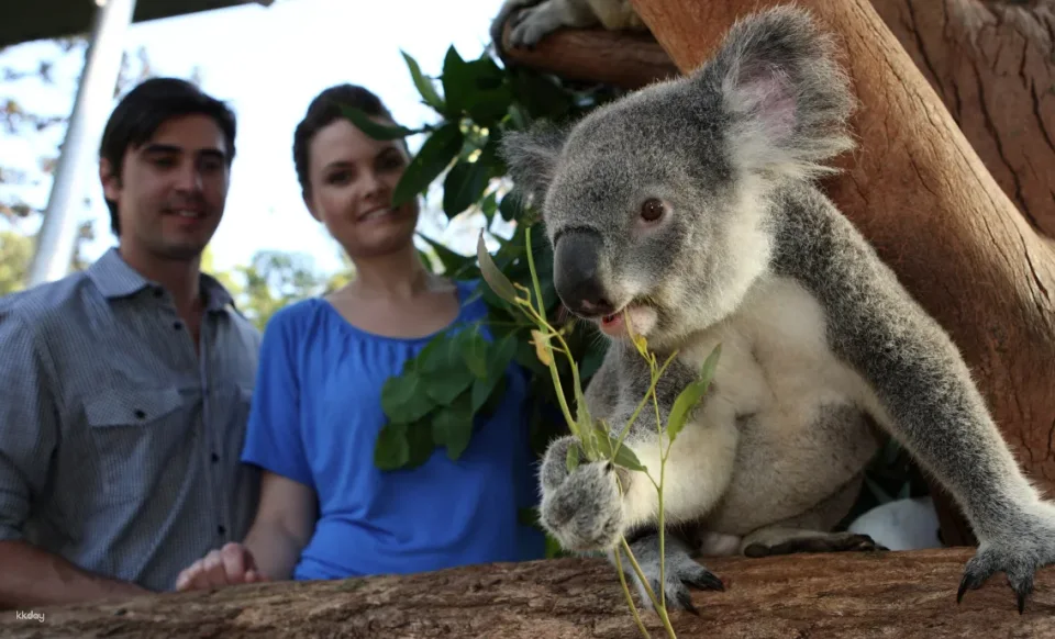 Taronga Zoo Tickets with Sydney Harbour Return Ferry