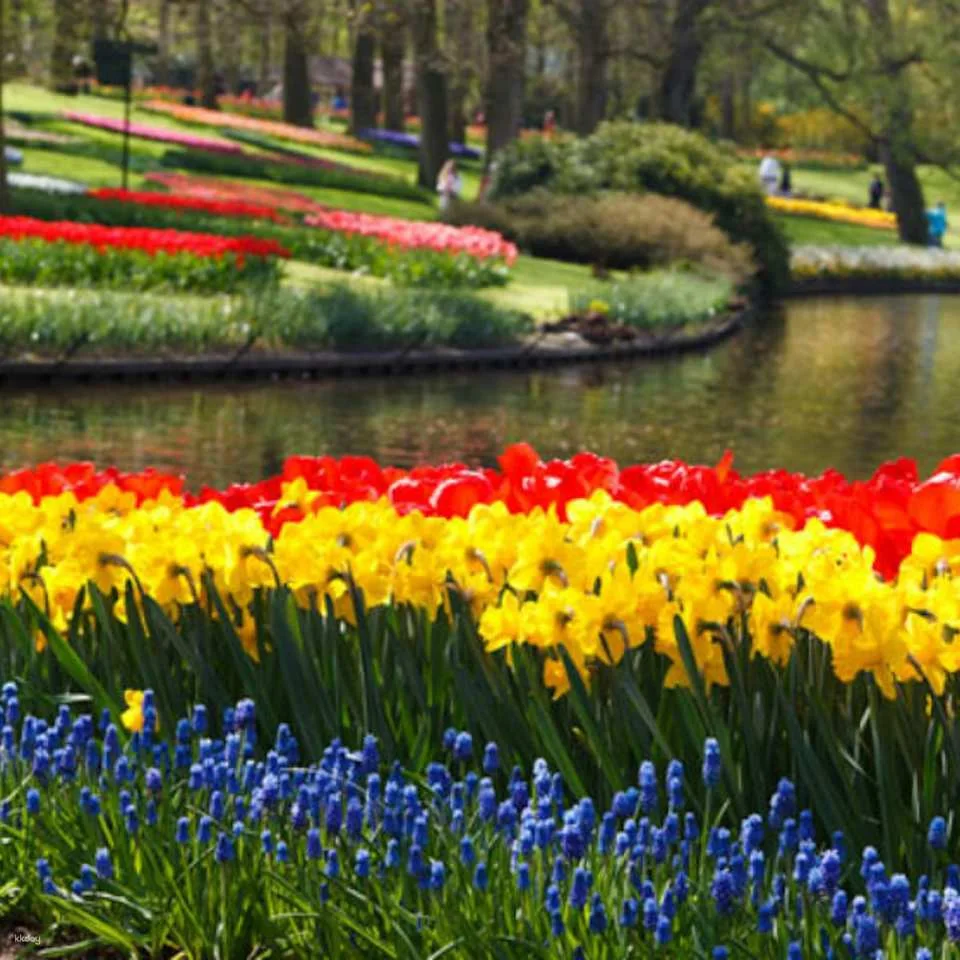 Keukenhof: Entry + Roundtrip Bus Transfer from A’dam Tower