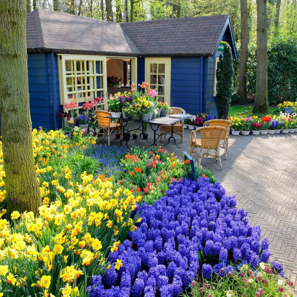 Keukenhof: Entry + Roundtrip Bus Transfer from A’dam Tower