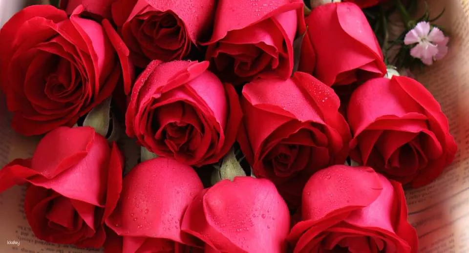 Cebu Flower Delivery Gift Service (Anniversary Bouquet/Cake/Wine)