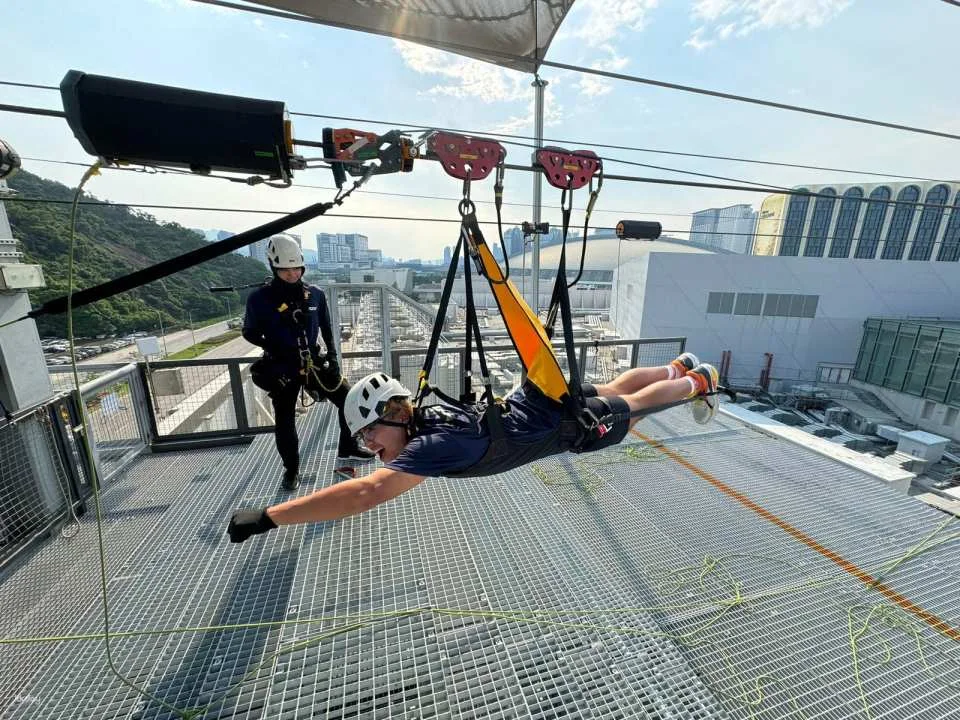 Macau Zipline: The World's First Immersive Urban Zipline | Macau Entertainment Attraction