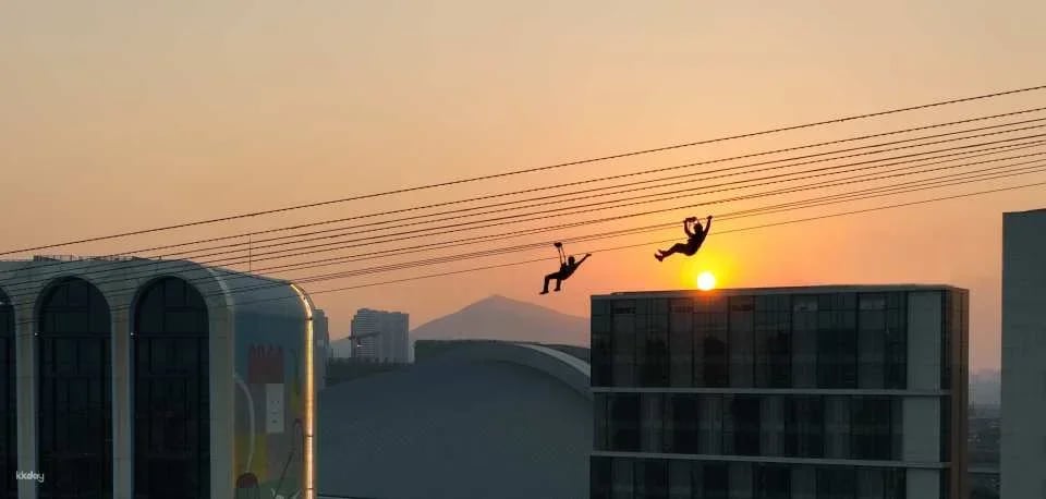 Macau Zipline: The World's First Immersive Urban Zipline | Macau Entertainment Attraction