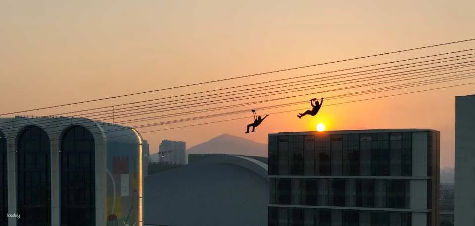 Macau Zipline: The World's First Immersive Urban Zipline | Macau Entertainment Attraction