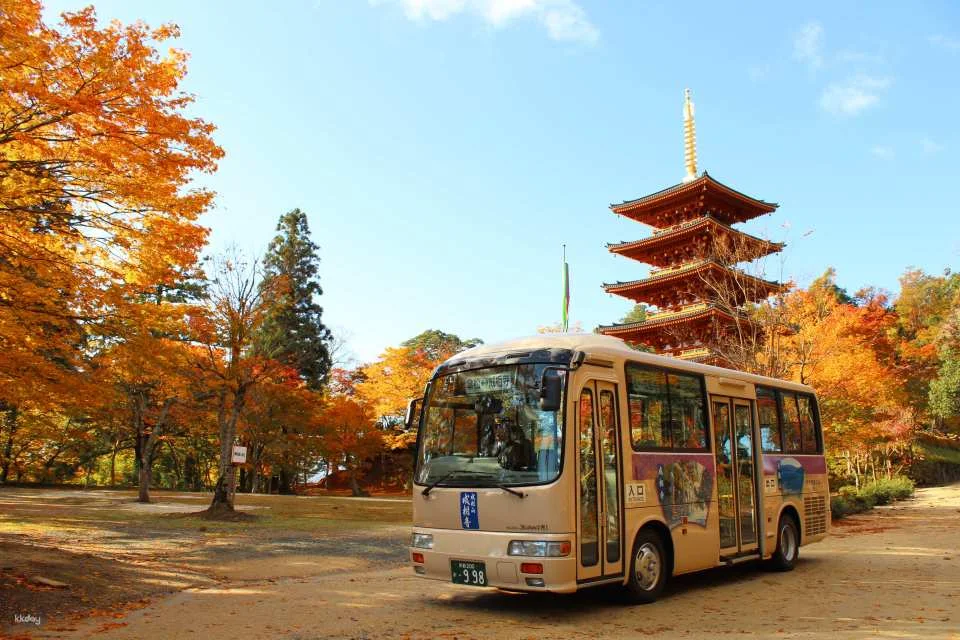 Ine Kasamatsu Sightseeing Ticket | Kyoto