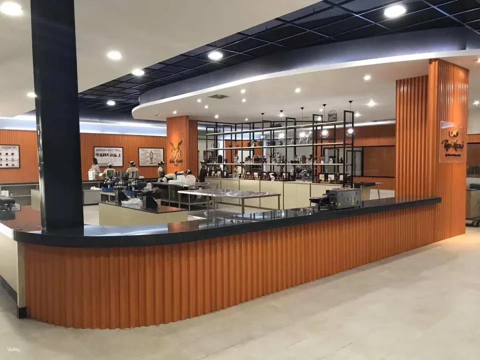 Golden Rabbit 3D Coffee Museum | Bali