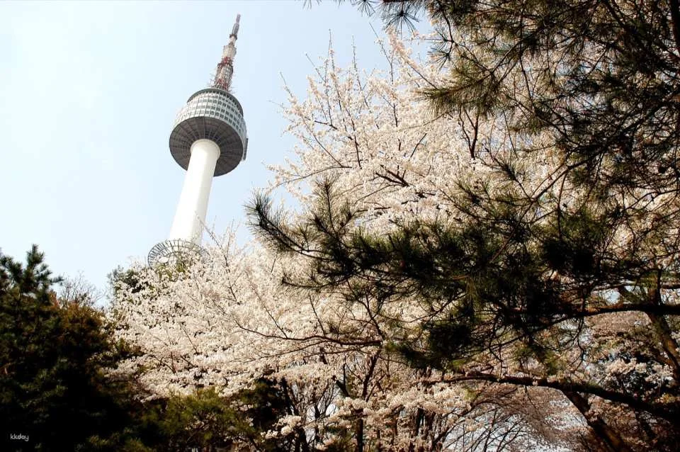 Namsan N Seoul Tower Observation Deck e-Ticket | South Korea