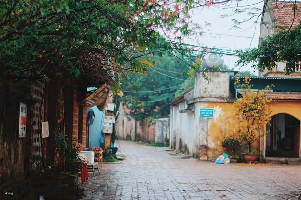 Ao Dai Photography Tour in Hanoi & Day-Trip to Duong Lam Ancient Village