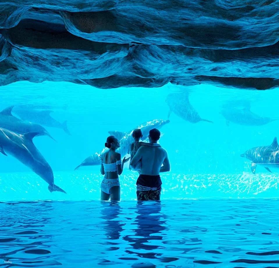 Zhuhai Chimelong Hengqin Bay Water World, China | Exclusive Offer: Free AIRSIM Card