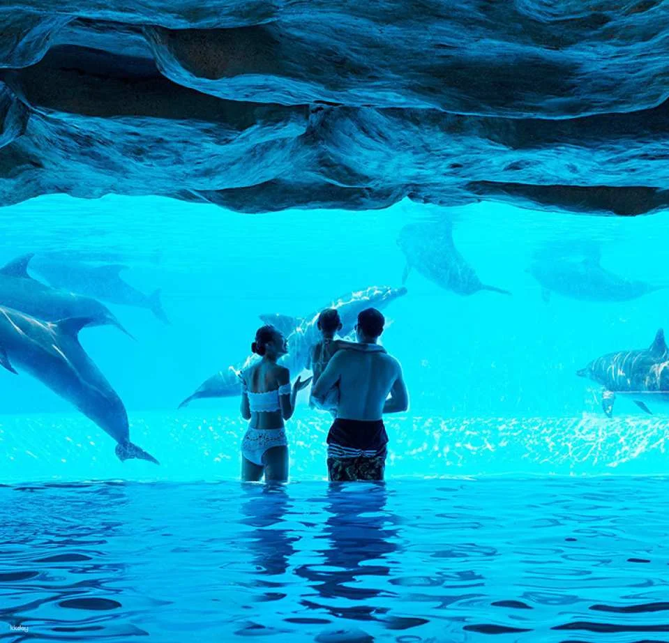 Zhuhai Chimelong Hengqin Bay Water World, China | Exclusive Offer: Free AIRSIM Card