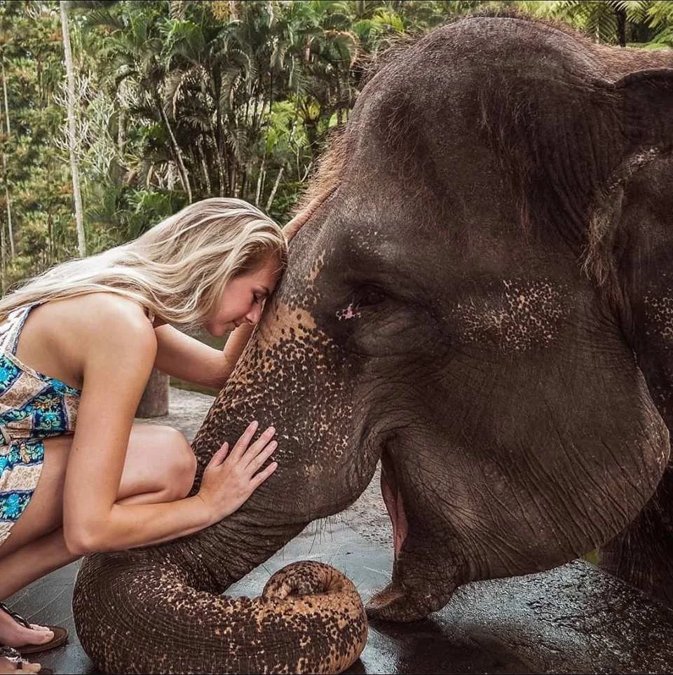 Mason Elephant Park Admission Ticket | Bali Indonesia (141456)