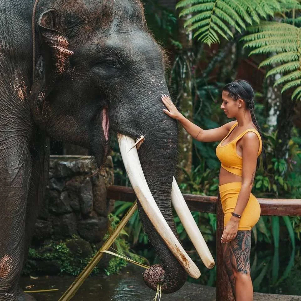 Mason Elephant Park Admission Ticket | Bali Indonesia