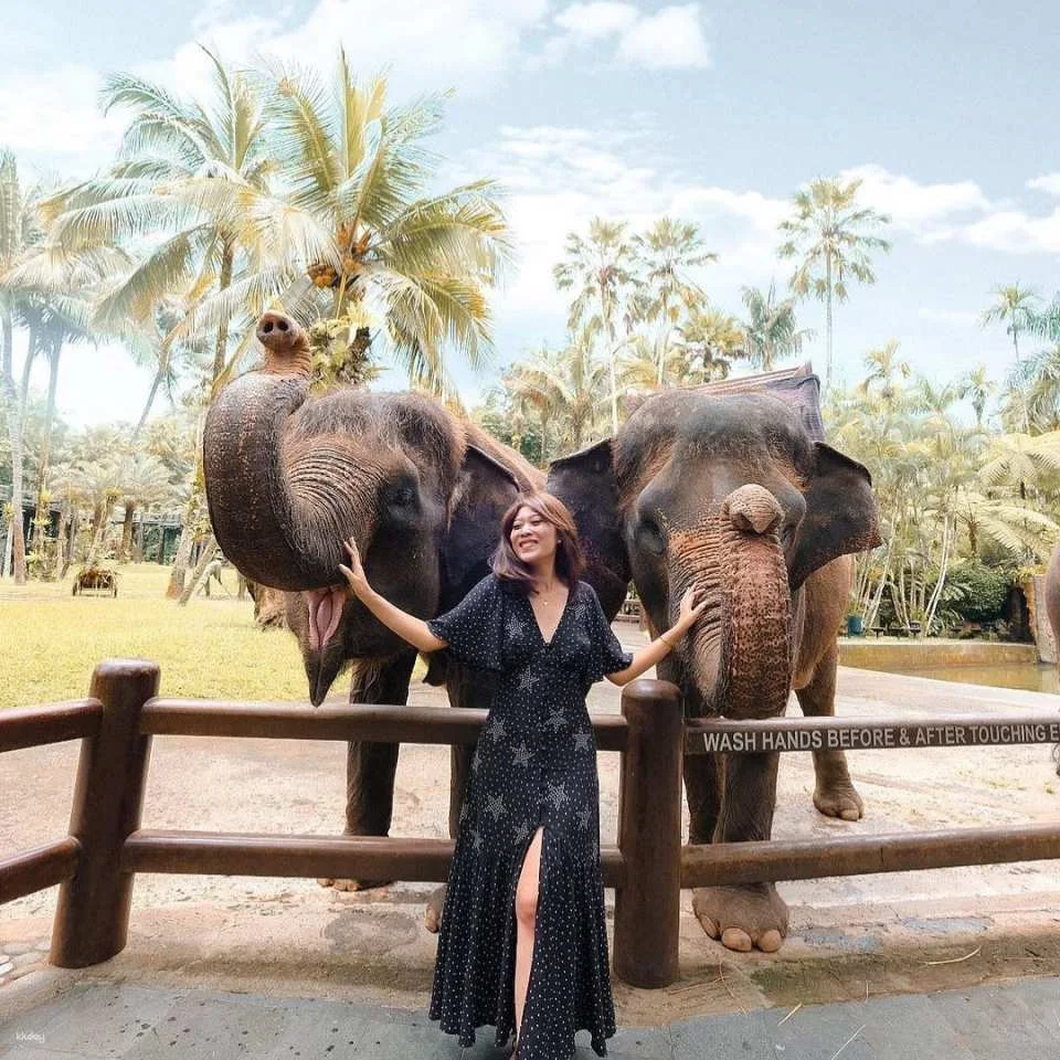 Mason Elephant Park Admission Ticket | Bali Indonesia