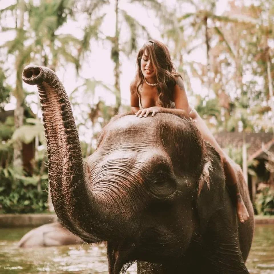 Mason Elephant Park Admission Ticket | Bali Indonesia