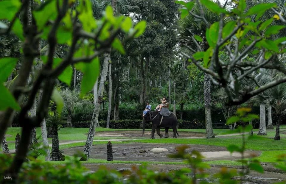 Mason Elephant Park Admission Ticket | Bali Indonesia