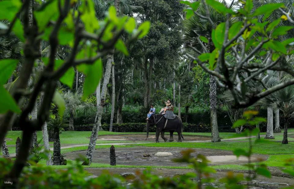 Mason Elephant Park Admission Ticket | Bali Indonesia