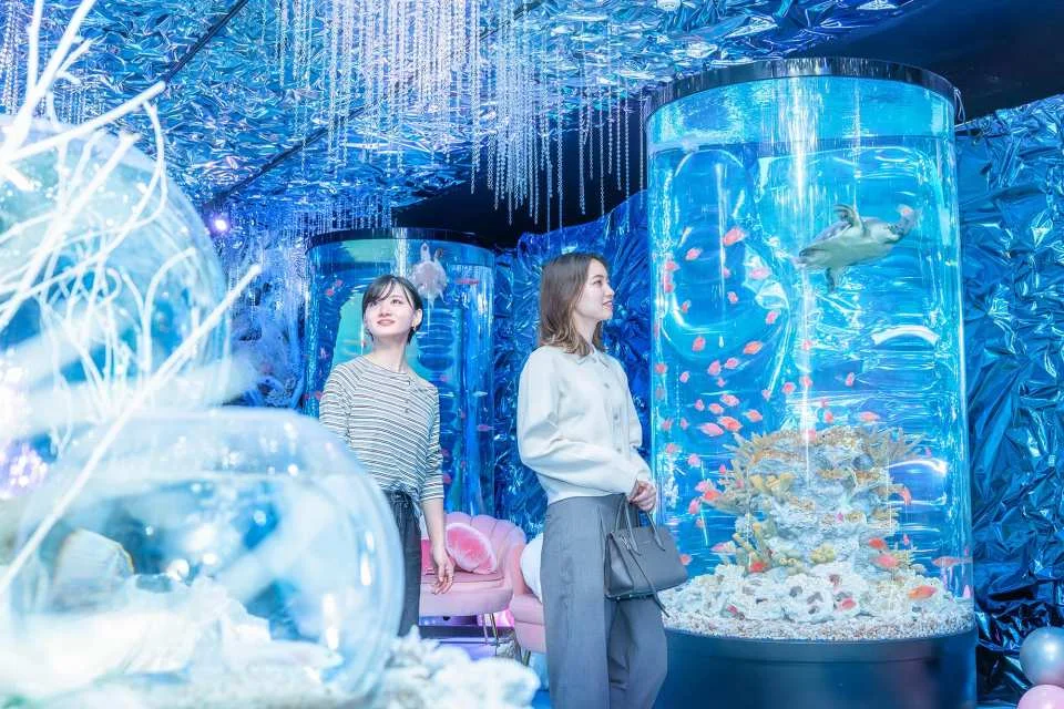 Hirakata Park Advance Tickets | Instant Booking Confirmation (Hirakata City, Osaka Prefecture)