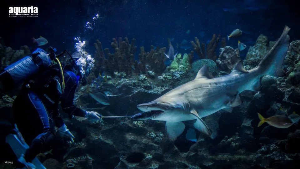 COMBO: Aquaria KLCC + Berjaya Times Square Theme Park Tickets