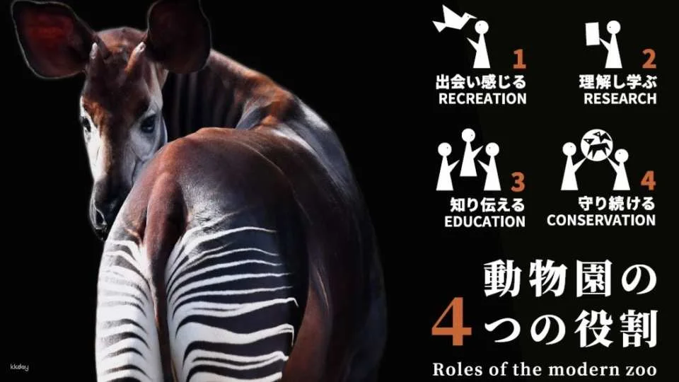 Yokohama Zoological Gardens Zoorasia Admission Ticket | Kanagawa