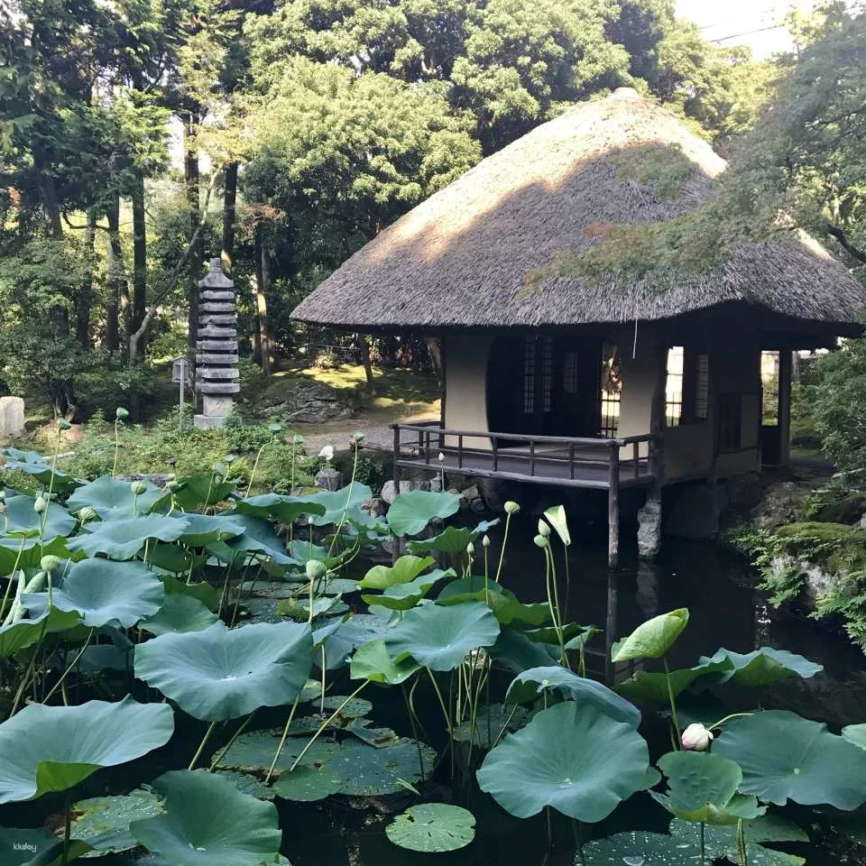 Kyoto Garden Tea Ceremony Experience | Japan
