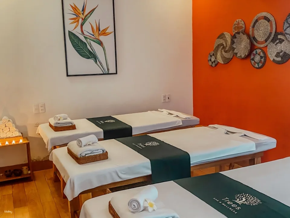 [30% OFF] Trees Spa Experience | Da Nang | Free Pick-up