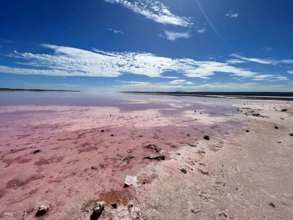 [2-Day Tour] Western Australia Hutt Lagoon Secret Stargazing + Pinnacles Desert + Nature’s Window + White Sand Dunes + Most Beautiful Pink Lake Tour Includes Pink Lake Aerial Photography [Small Group, Up to 11 People]