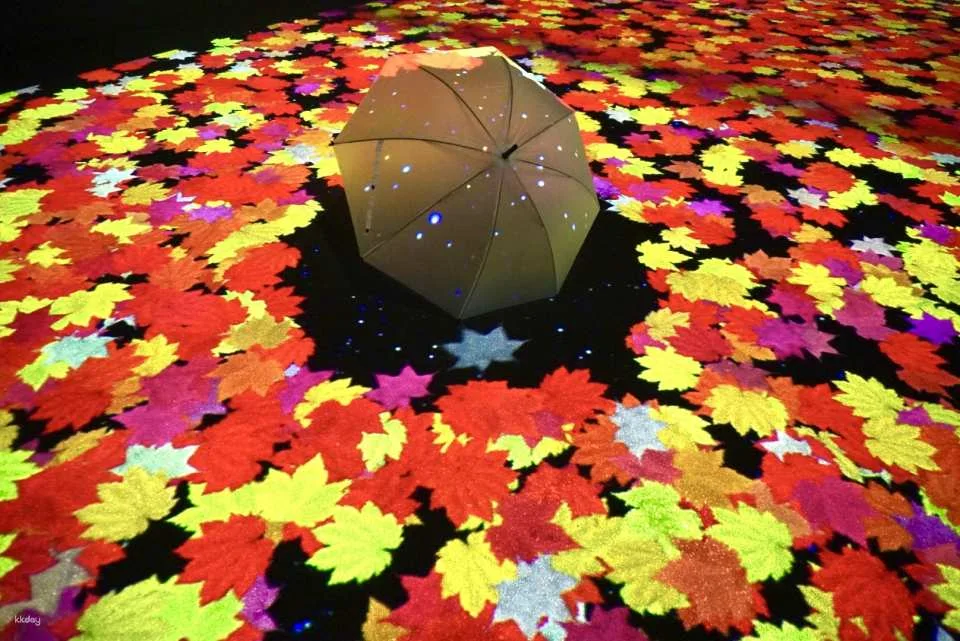 Miracle Illuminate 9 Admission Ticket (Kamikawa District, Hokkaido - Illumination)