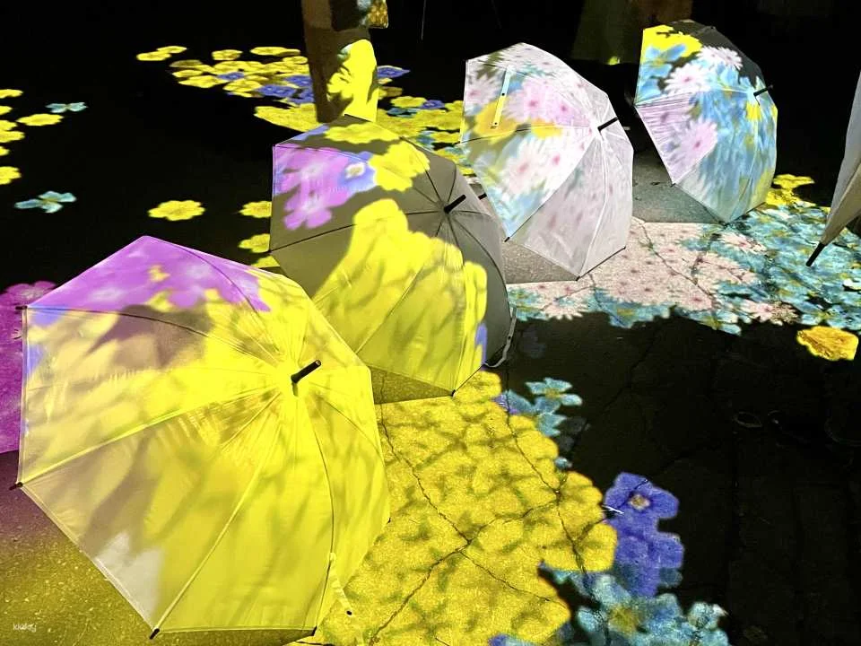 Miracle Illuminate 9 Admission Ticket (Kamikawa District, Hokkaido - Illumination)
