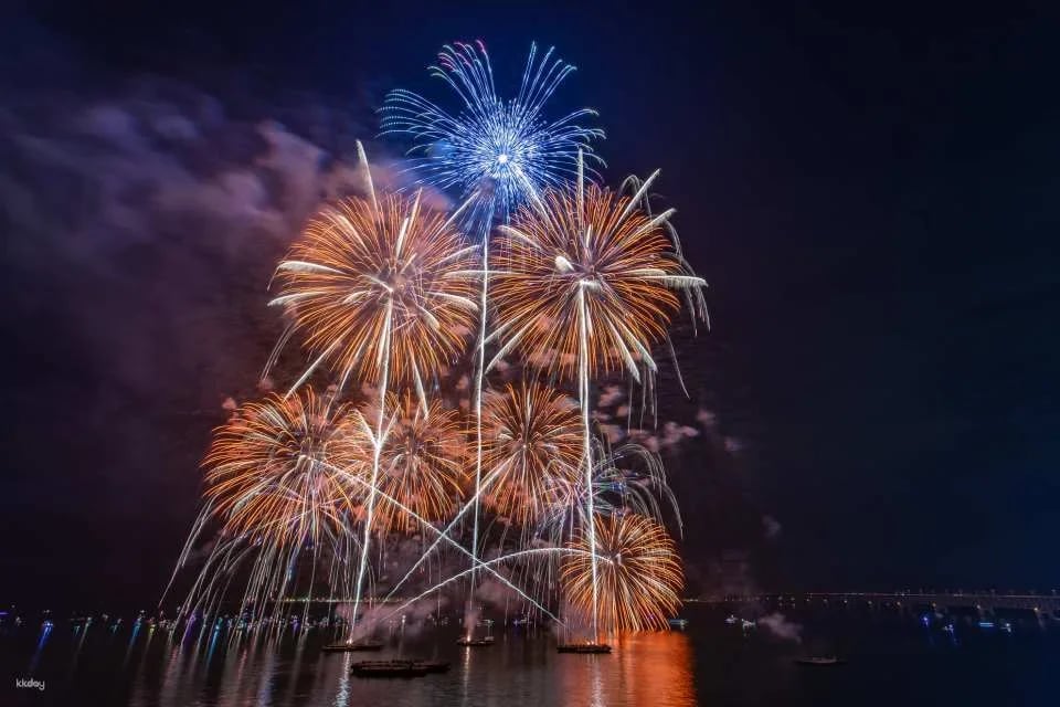 Osaka Art Fireworks 2026 Viewing Ticket (Izumisano City, Osaka Prefecture - Fireworks Display)