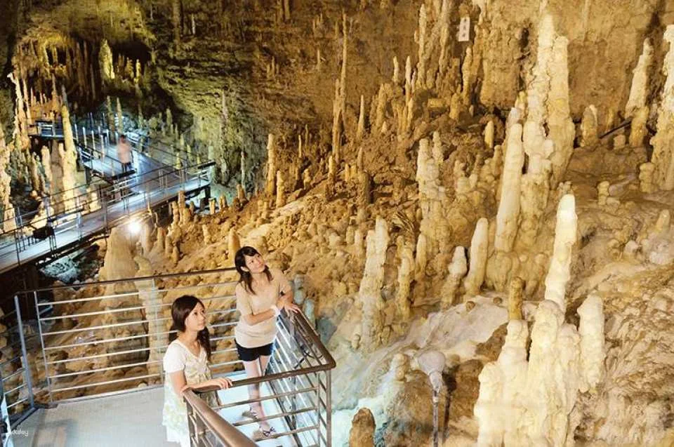 Have Fun in Okinawa 1 Week Free Pass