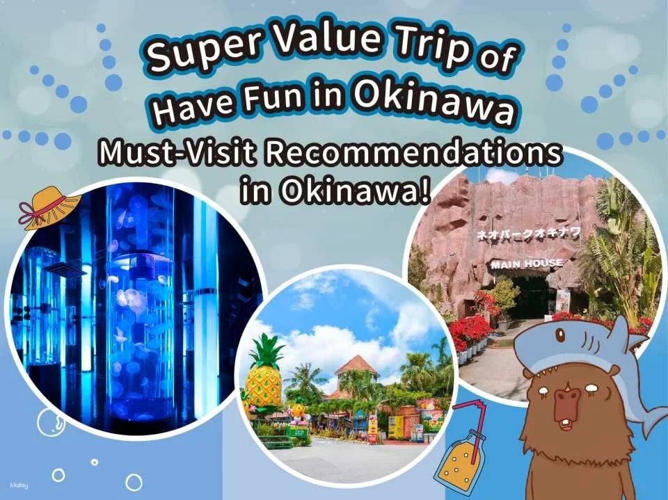 Have Fun in Okinawa 1 Week Free Pass