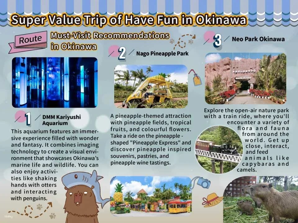 Have Fun in Okinawa 1 Week Free Pass